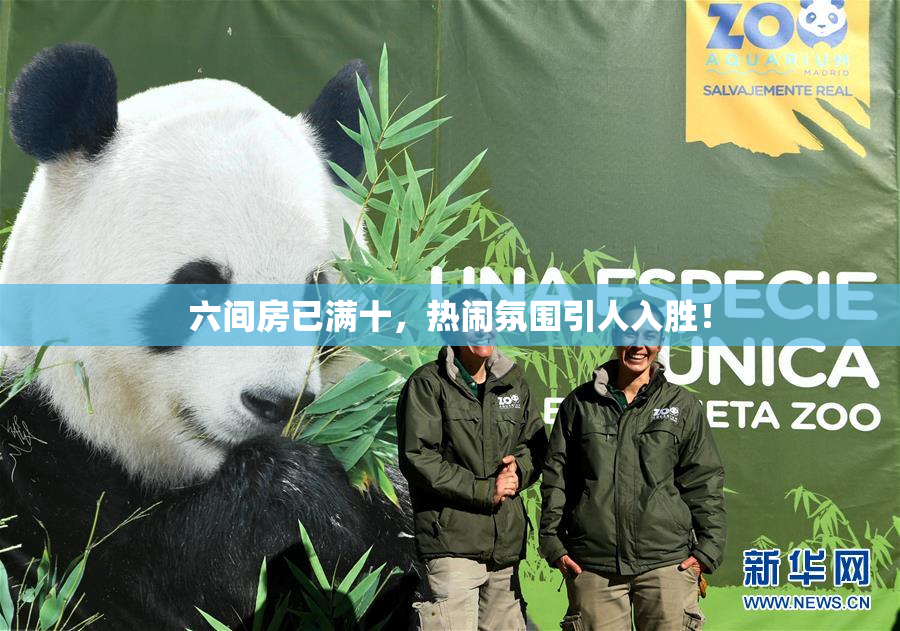 六间房已满十，热闹氛围引人入胜！