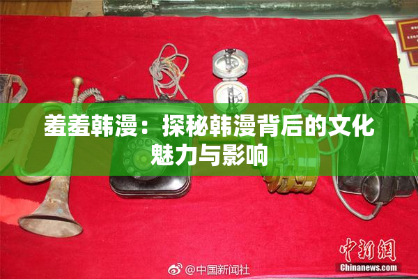 羞羞韩漫：探秘韩漫背后的文化魅力与影响