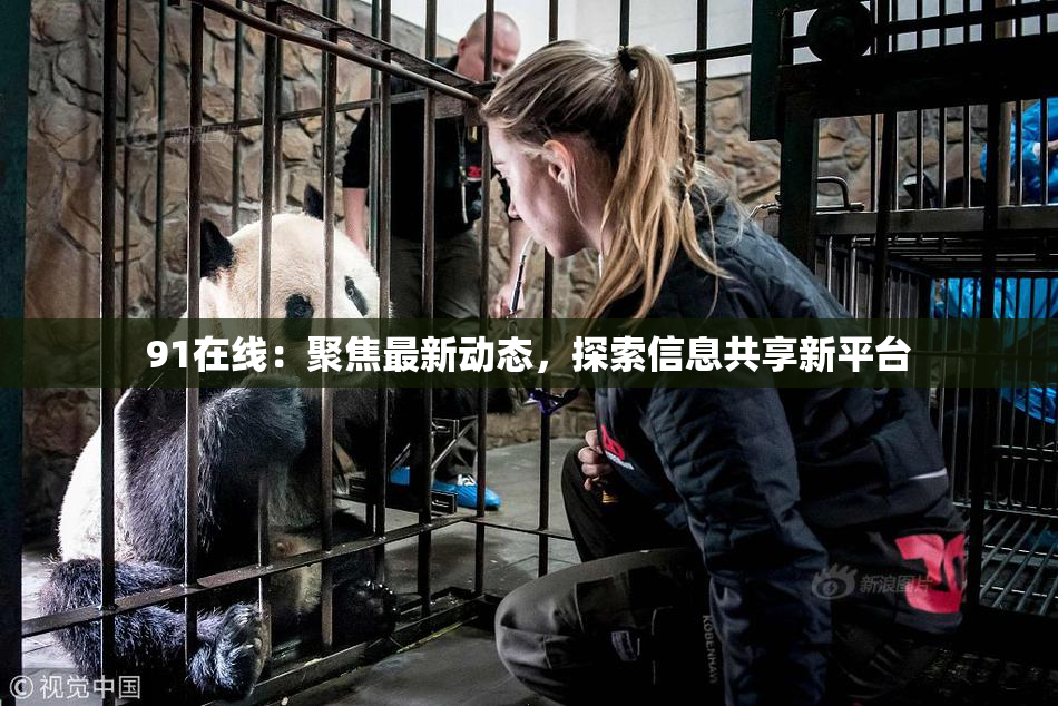 91在线：聚焦最新动态，探索信息共享新平台