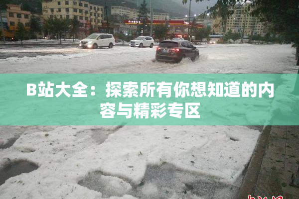 B站大全：探索所有你想知道的内容与精彩专区