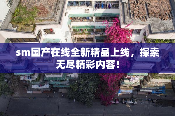 sm国产在线全新精品上线，探索无尽精彩内容！