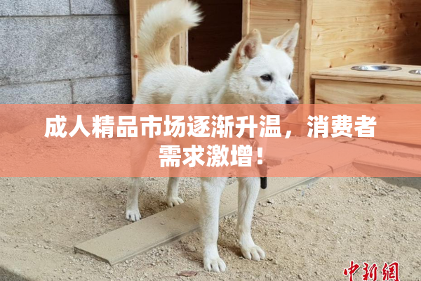 成人精品市场逐渐升温，消费者需求激增！
