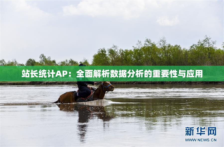 站长统计AP：全面解析数据分析的重要性与应用