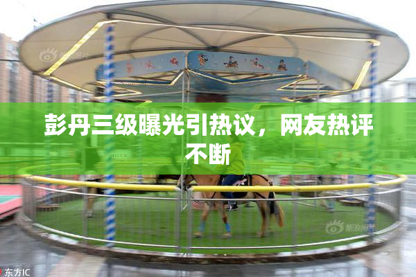 彭丹三级曝光引热议，网友热评不断
