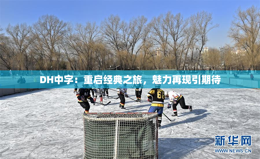 DH中字：重启经典之旅，魅力再现引期待