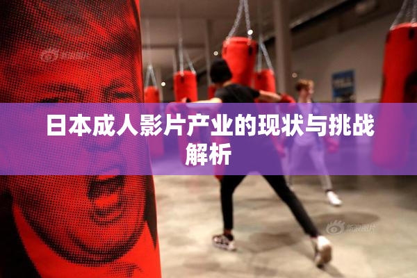 日本成人影片产业的现状与挑战解析
