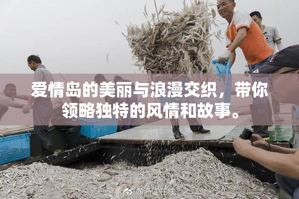 爱情岛的美丽与浪漫交织，带你领略独特的风情和故事。