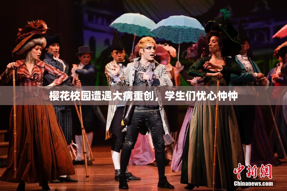 樱花校园遭遇大病重创，学生们忧心忡忡