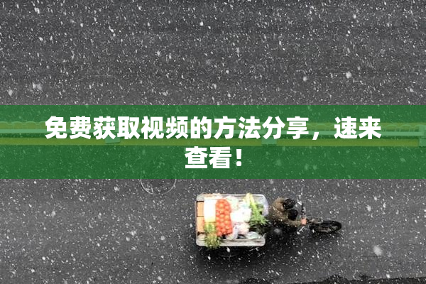 免费获取视频的方法分享，速来查看！