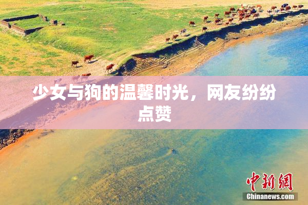 少女与狗的温馨时光，网友纷纷点赞