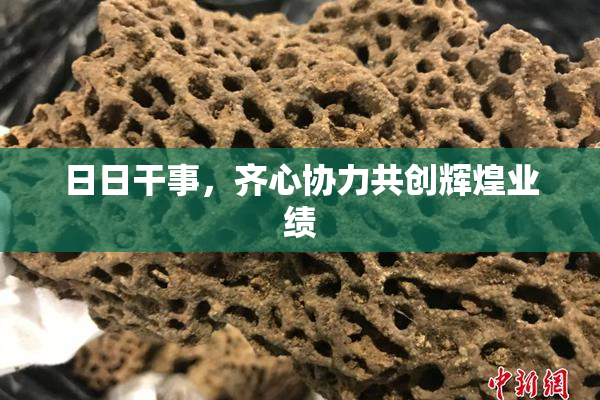 日日干事，齐心协力共创辉煌业绩