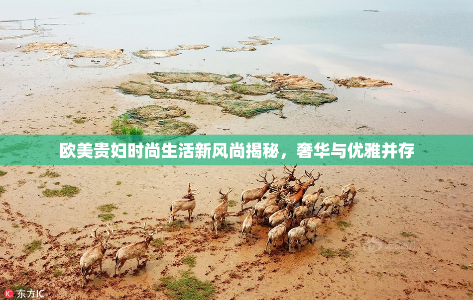 欧美贵妇时尚生活新风尚揭秘，奢华与优雅并存