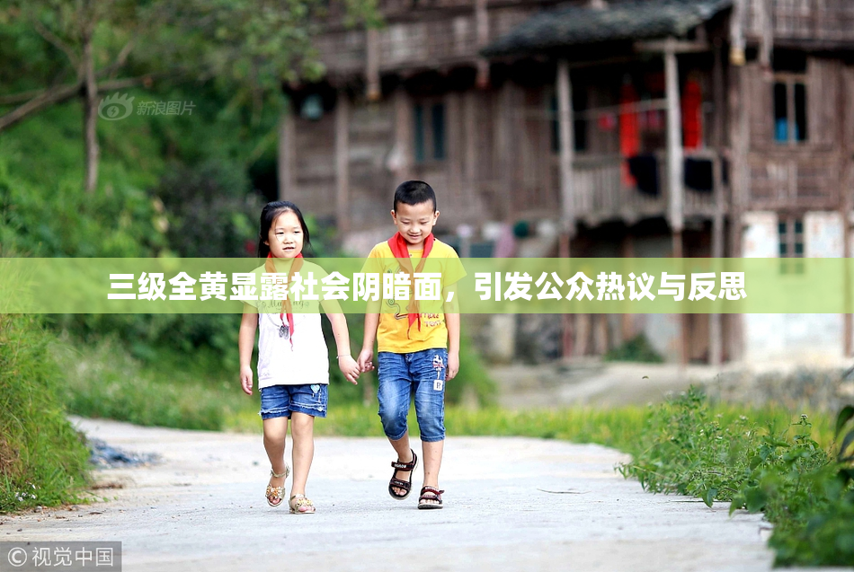 三级全黄显露社会阴暗面，引发公众热议与反思