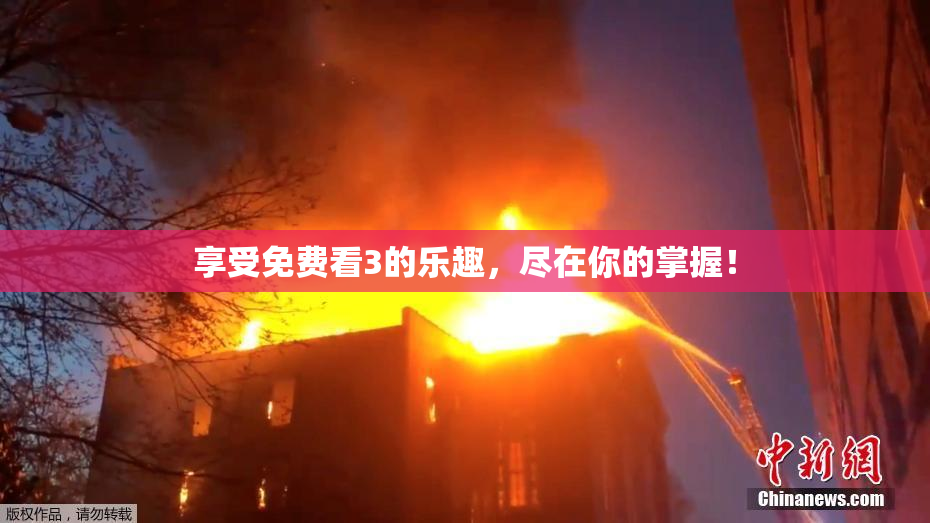 享受免费看3的乐趣，尽在你的掌握！