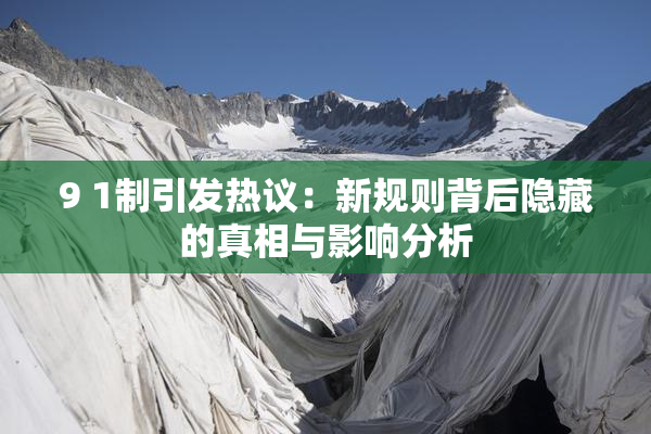 9 1制引发热议：新规则背后隐藏的真相与影响分析