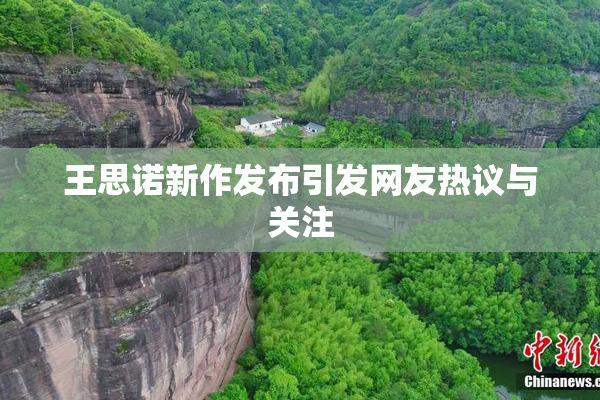 王思诺新作发布引发网友热议与关注