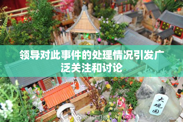 领导对此事件的处理情况引发广泛关注和讨论