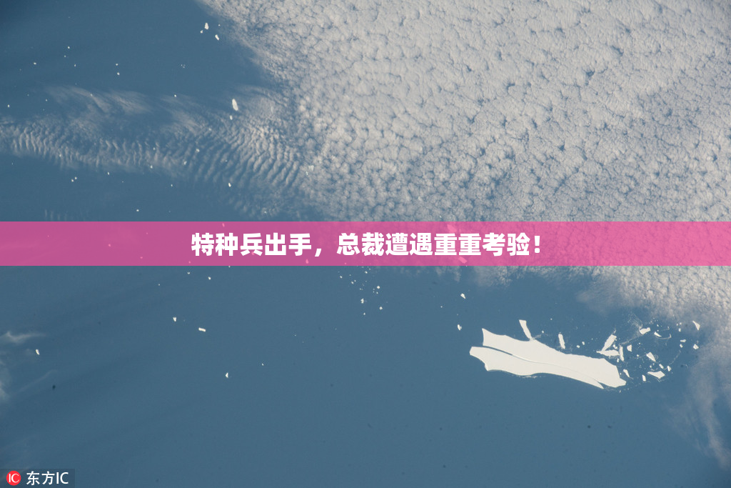 特种兵出手，总裁遭遇重重考验！