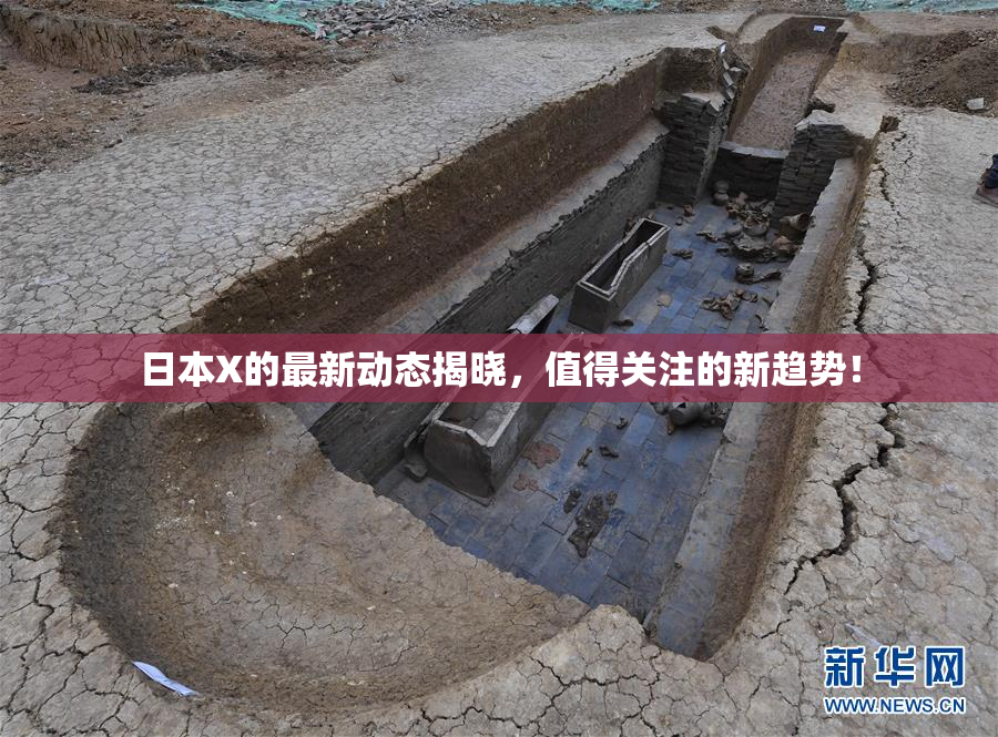 日本X的最新动态揭晓，值得关注的新趋势！