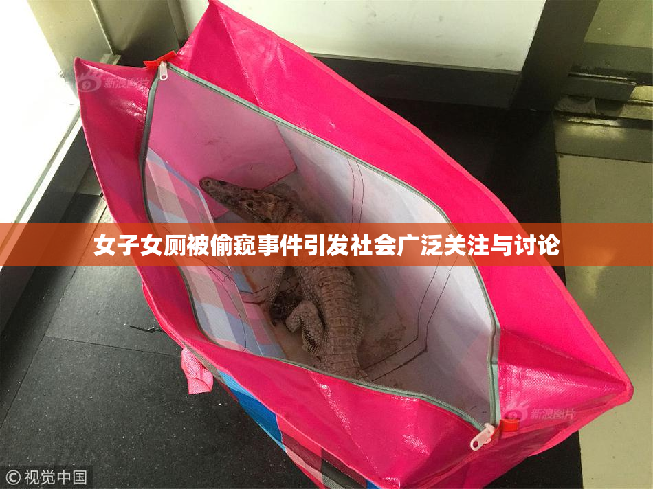 女子女厕被偷窥事件引发社会广泛关注与讨论