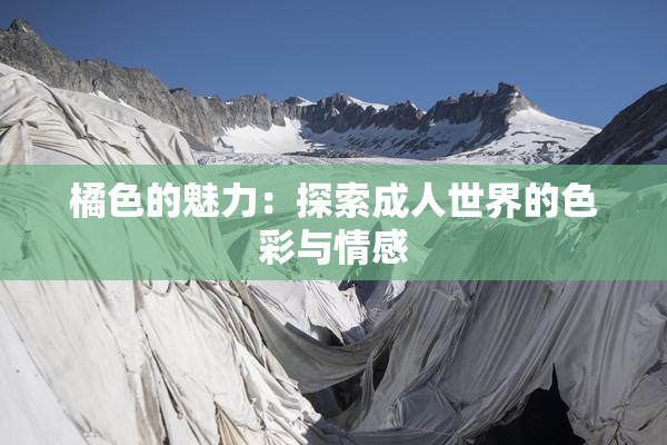 橘色的魅力：探索成人世界的色彩与情感