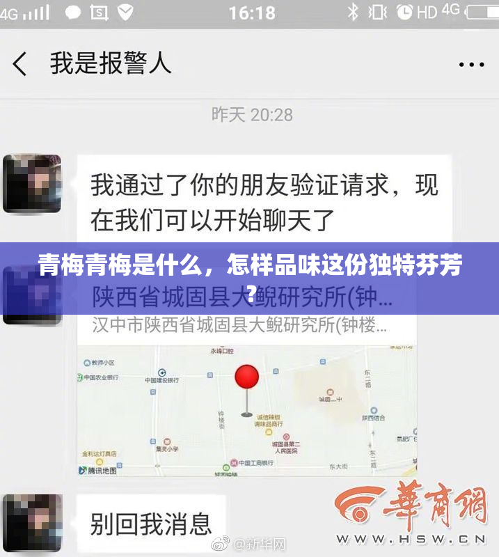 青梅青梅是什么，怎样品味这份独特芬芳？