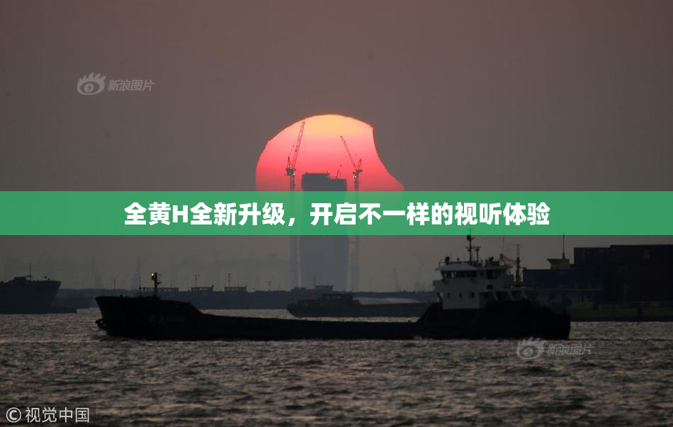全黄H全新升级，开启不一样的视听体验