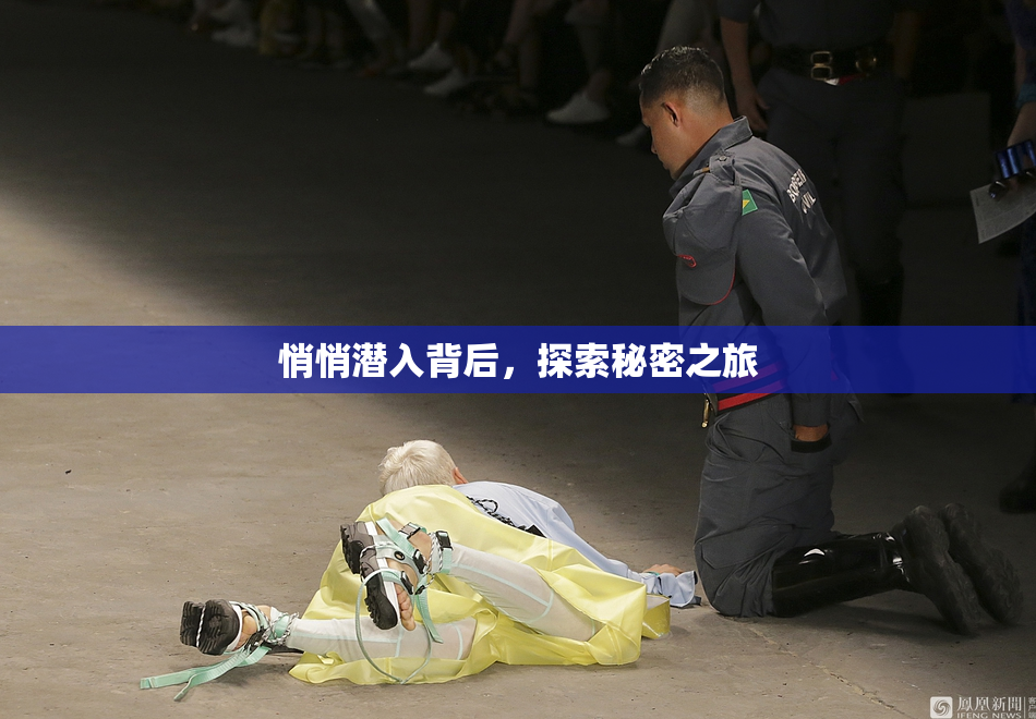 悄悄潜入背后，探索秘密之旅