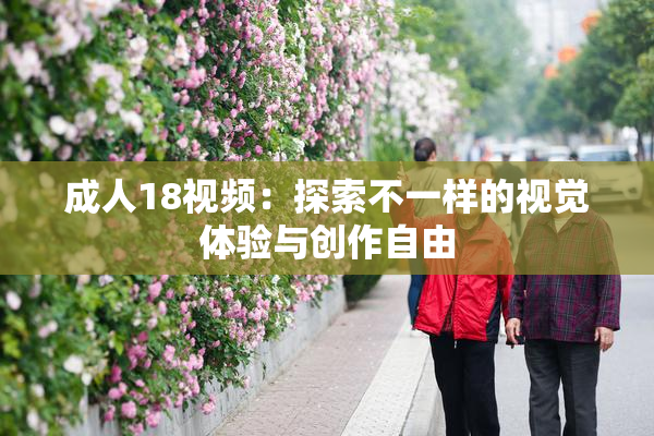 成人18视频：探索不一样的视觉体验与创作自由