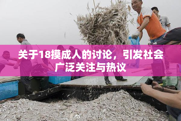 关于18摸成人的讨论，引发社会广泛关注与热议