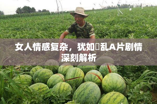 女人情感复杂，犹如婬乱A片剧情深刻解析