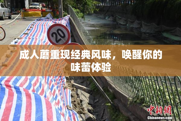 成人蘑重现经典风味，唤醒你的味蕾体验