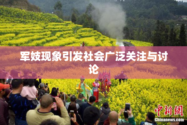 军妓现象引发社会广泛关注与讨论