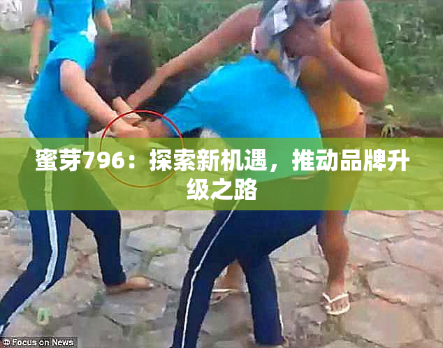 蜜芽796：探索新机遇，推动品牌升级之路
