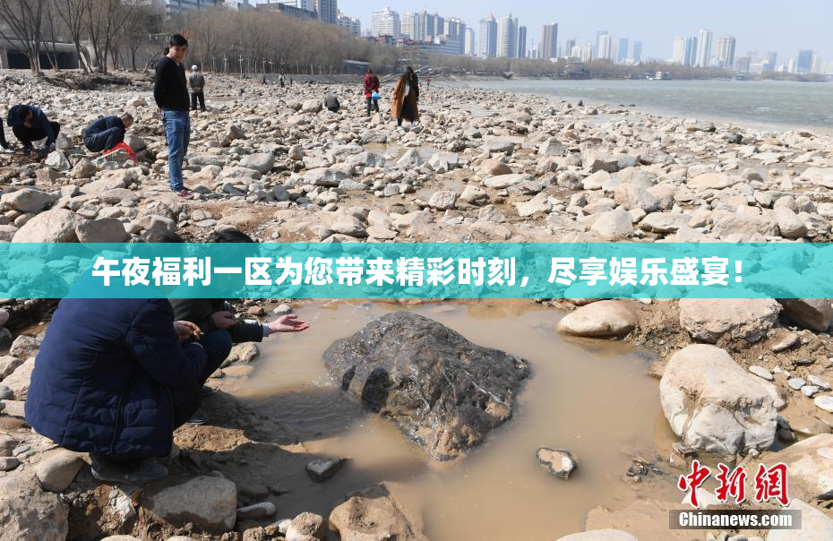 午夜福利一区为您带来精彩时刻，尽享娱乐盛宴！