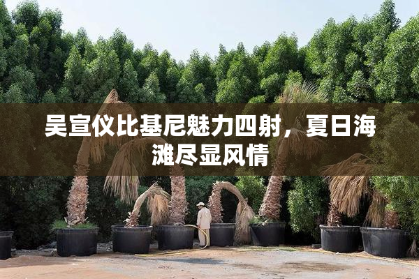 吴宣仪比基尼魅力四射，夏日海滩尽显风情