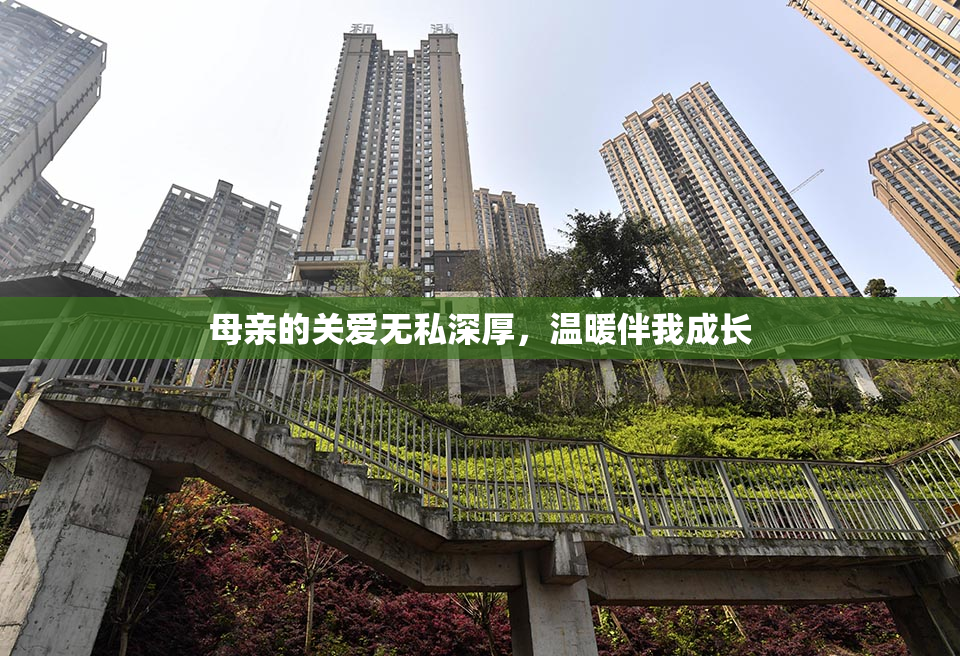 母亲的关爱无私深厚，温暖伴我成长