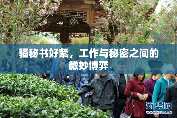 骚秘书好紧，工作与秘密之间的微妙博弈