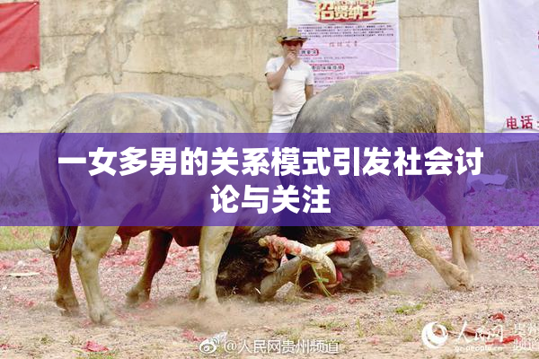 一女多男的关系模式引发社会讨论与关注