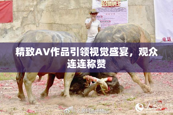 精致AV作品引领视觉盛宴，观众连连称赞