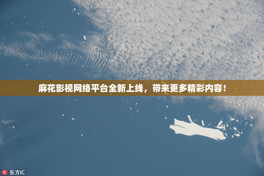 麻花影视网络平台全新上线，带来更多精彩内容！