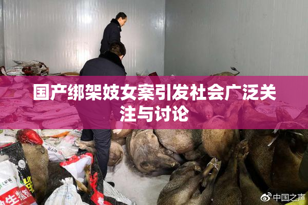 国产绑架妓女案引发社会广泛关注与讨论