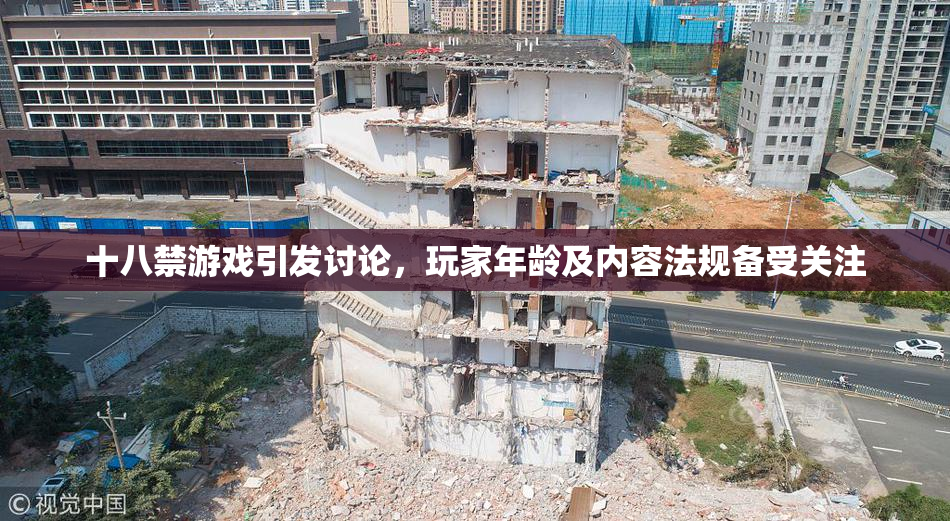 十八禁游戏引发讨论，玩家年龄及内容法规备受关注