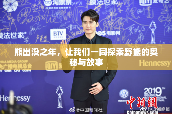 熊出没之年，让我们一同探索野熊的奥秘与故事