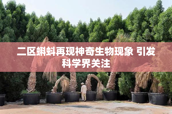 二区蝌蚪再现神奇生物现象 引发科学界关注