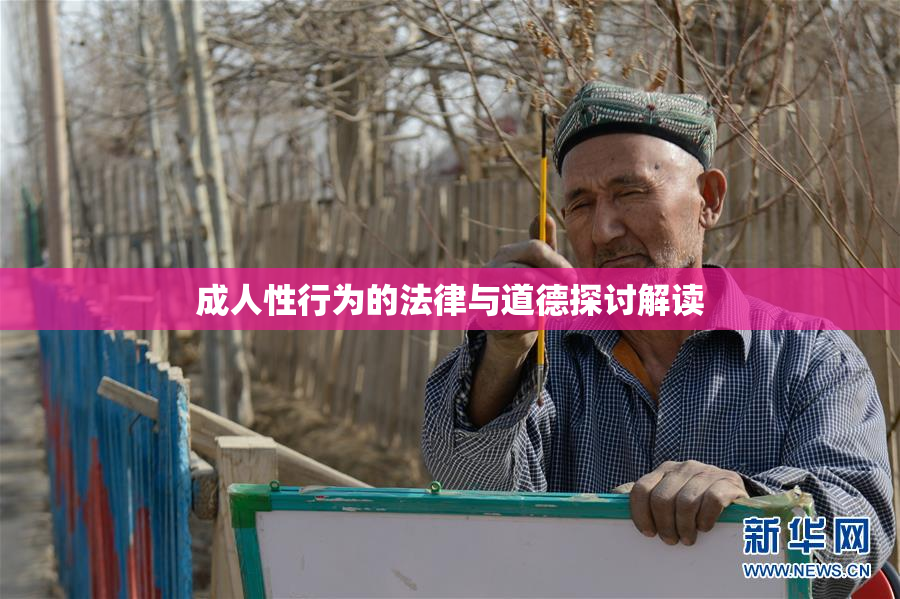 成人性行为的法律与道德探讨解读