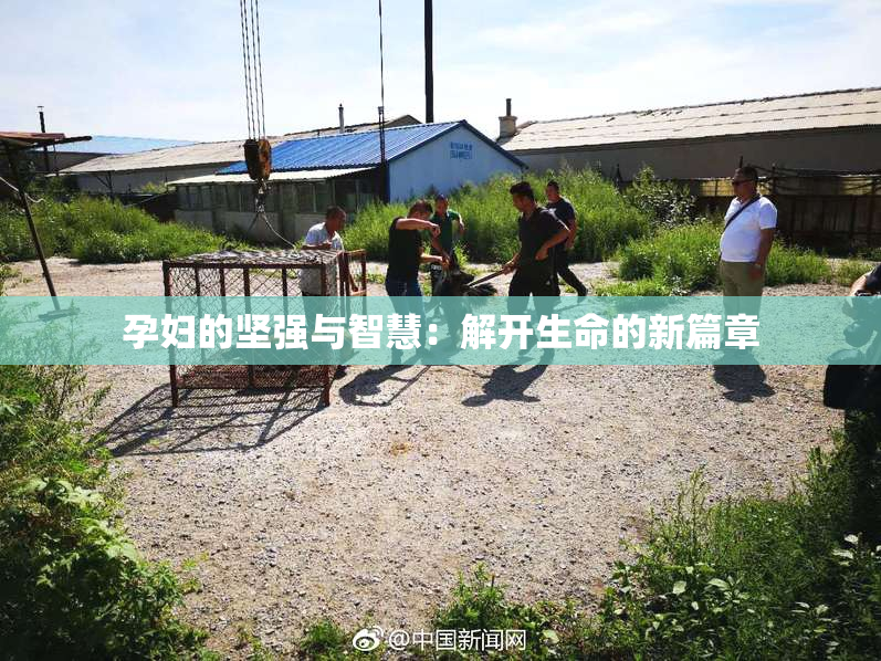 孕妇的坚强与智慧：解开生命的新篇章