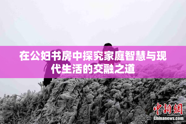 在公妇书房中探究家庭智慧与现代生活的交融之道