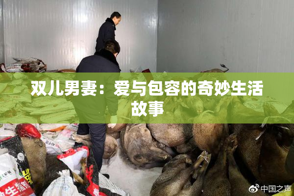 双儿男妻：爱与包容的奇妙生活故事
