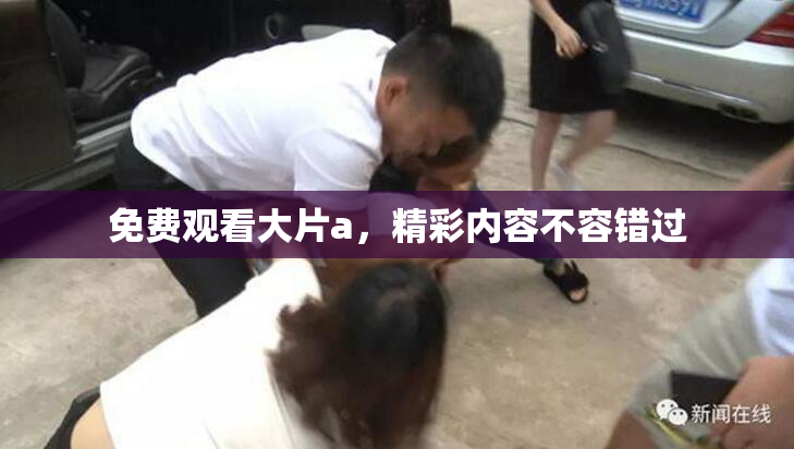 免费观看大片a，精彩内容不容错过